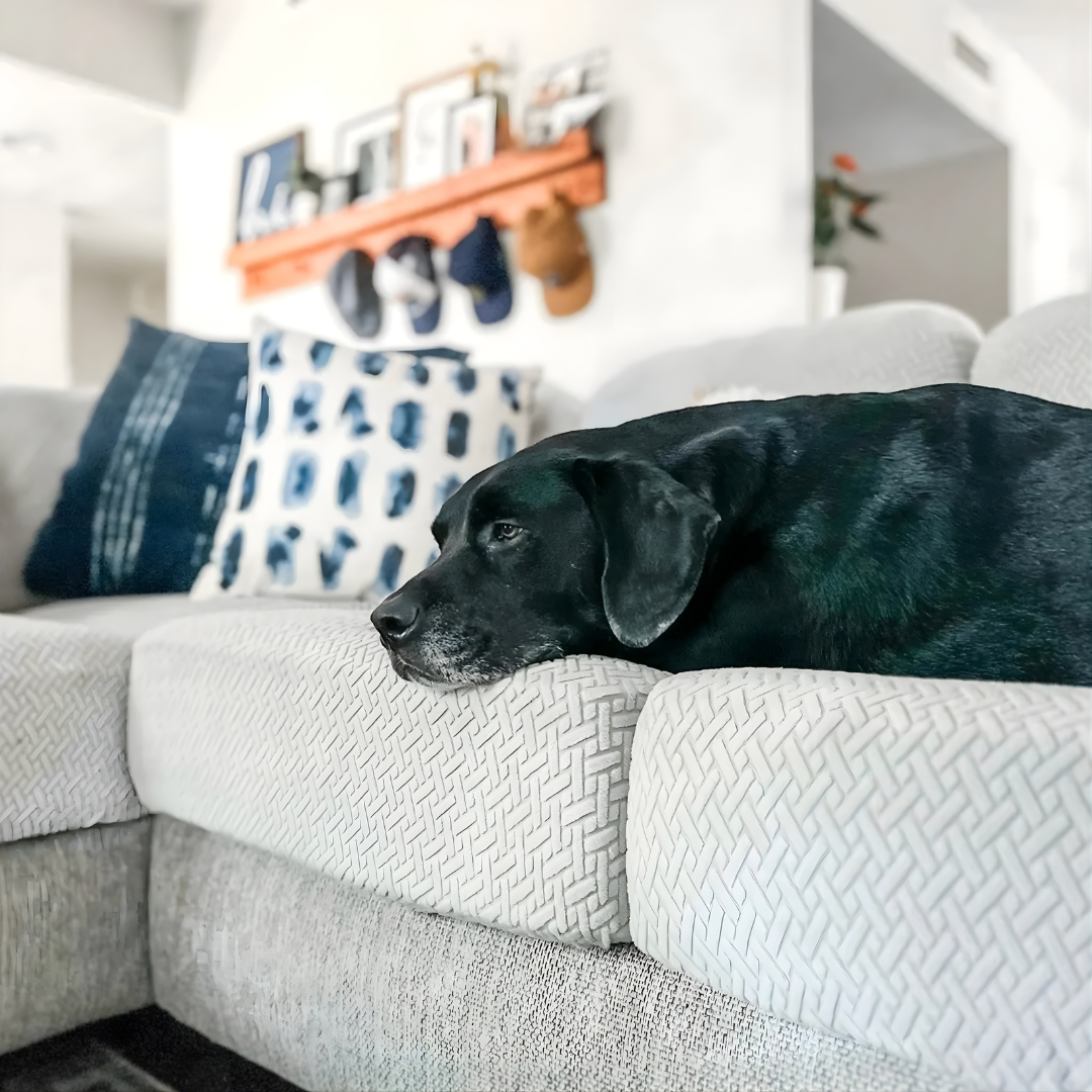 Funda Protectora Elástica de Alto Ajuste para Sofá