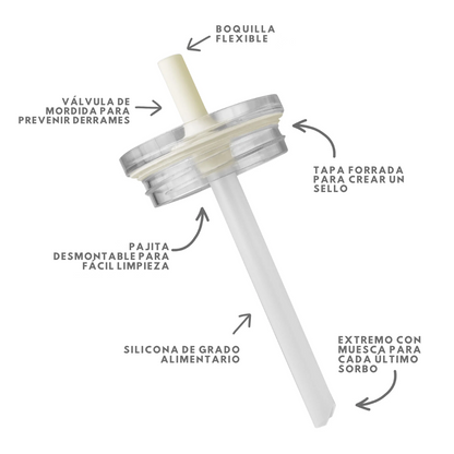 Vaso Térmico y Antiderrame para Niños®