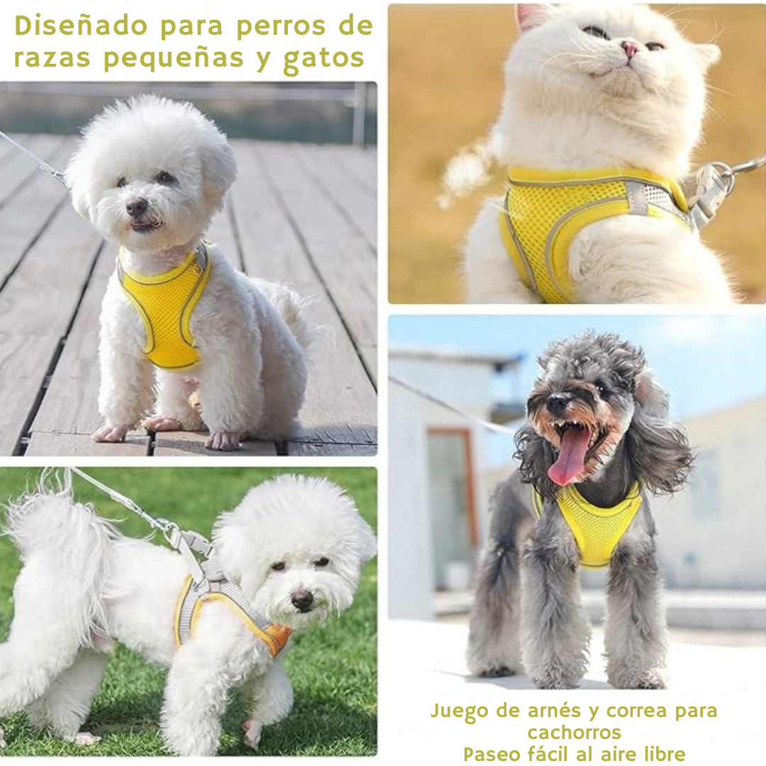 Chaleco suave de malla para perros y gatos